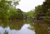 The lake around a small shrine, in a big temple place, near Kamakura station, I don't remember the name...