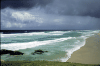 Nice waves on a beautiful sand beach in a small island near Brisbane, Australia